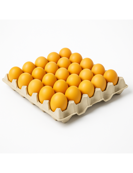 Bandeja de 30 Huevos Frescos – Calidad Premium Directo del Productor