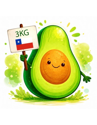 Palta Hass Chilena – Calidad Premium en Formatos de 3 KG, 5 KG, 7 KG, 10 KG y 20 KG