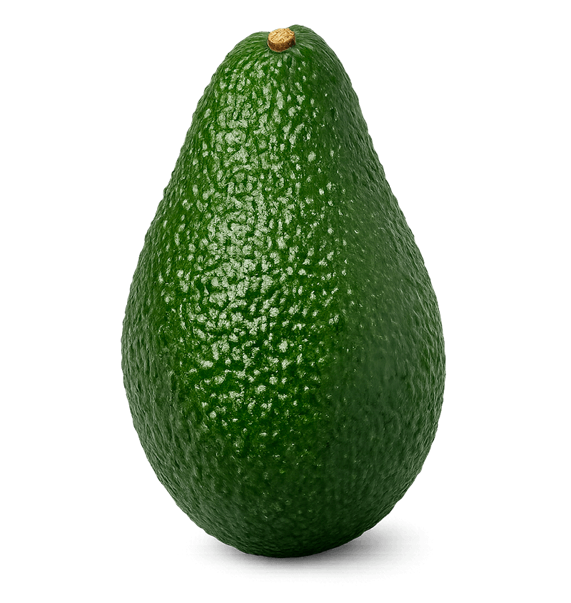 Palta Hass Calibre 12