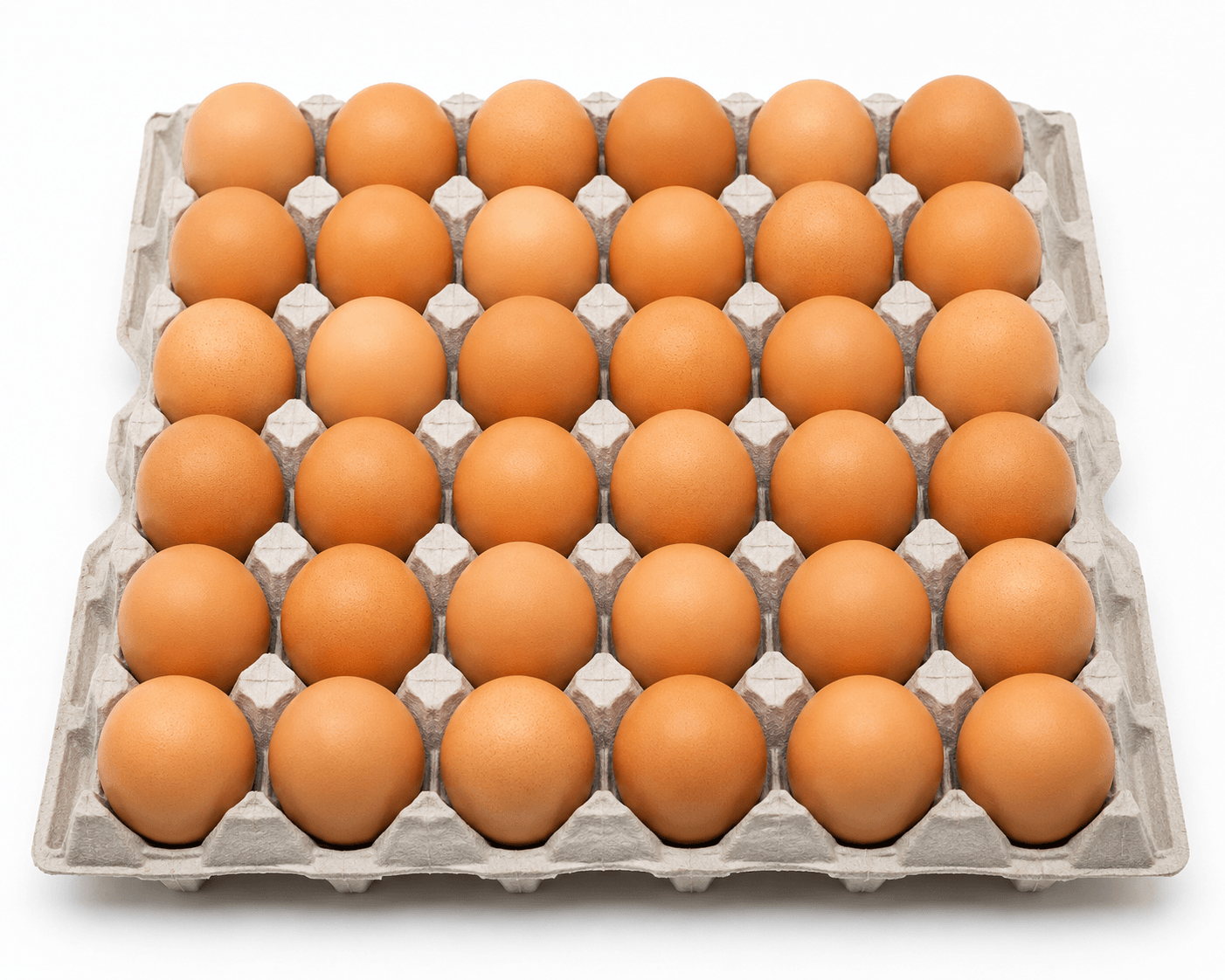 Huevos de Gallina Color – Bandeja de 30 Unidades