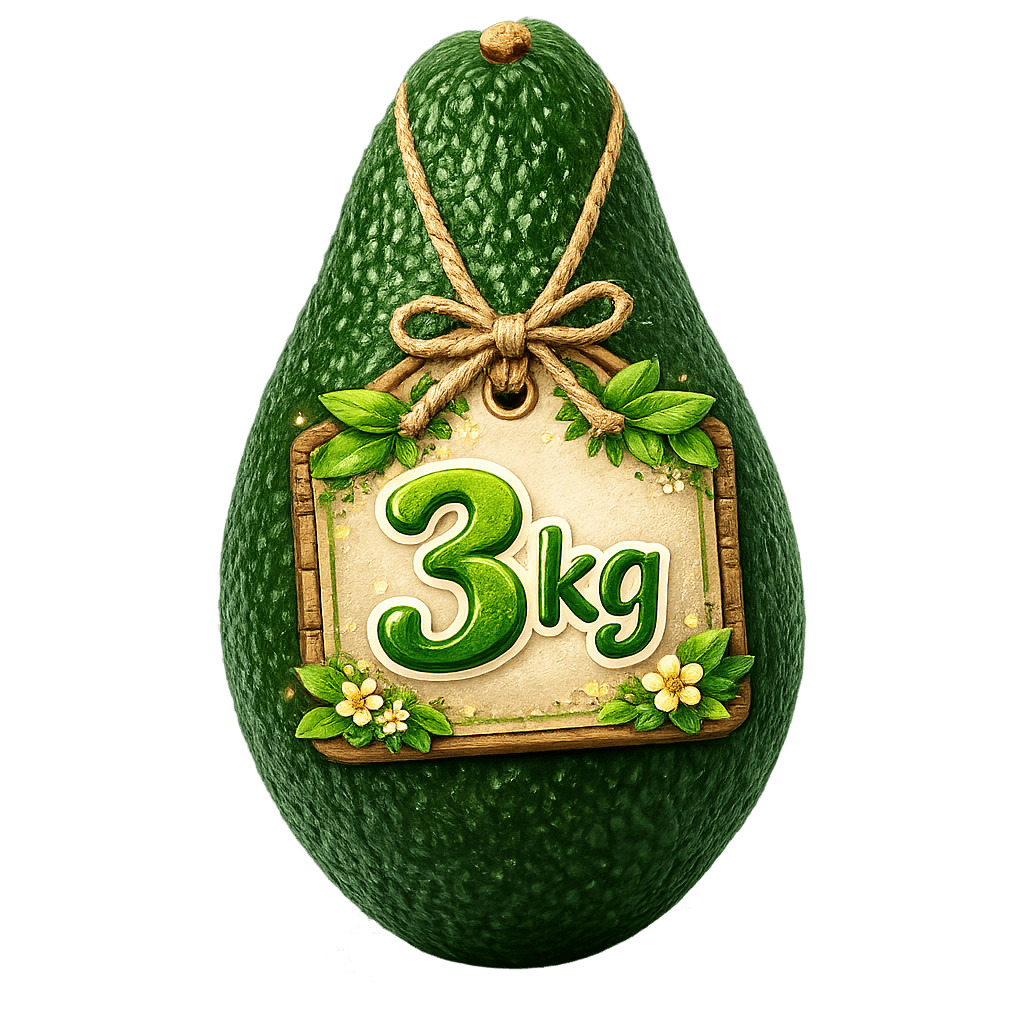 Palta Hass Calibre 12 – Caja de 3 kg