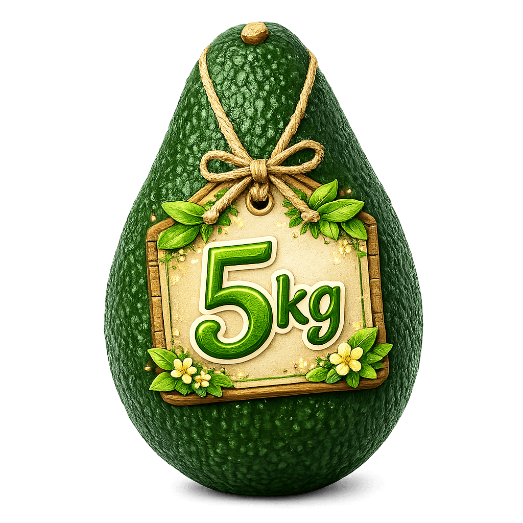 Palta Hass Calibre 12 – Caja de 5 kg