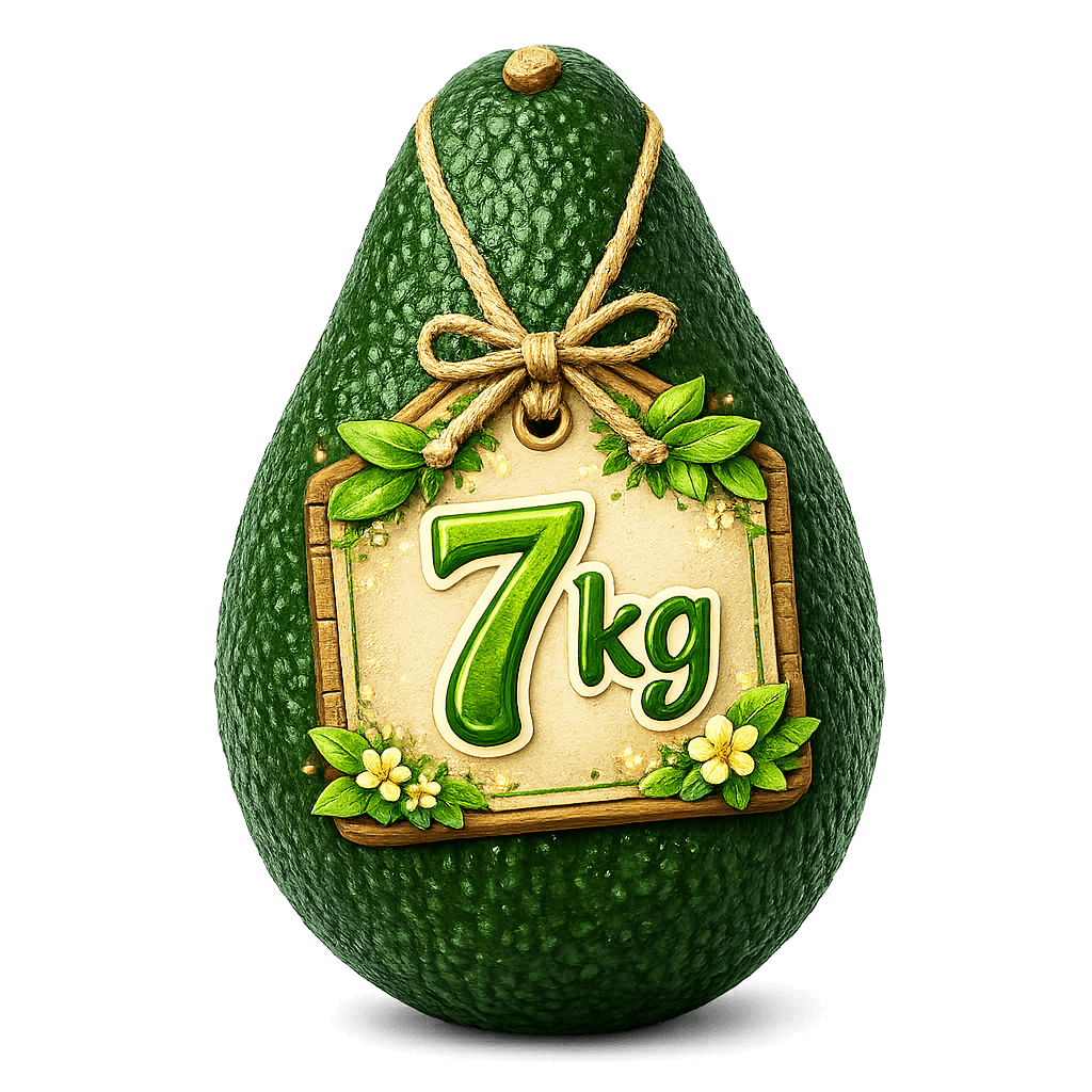Palta Hass Calibre 12 – Caja de 7 kg