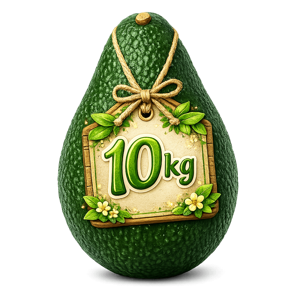 Palta Hass Calibre 12 – Caja de 10 kg